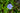 CHICORY - CHICHORIUM INTYBUS