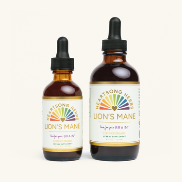 Lion's Mane Tincture