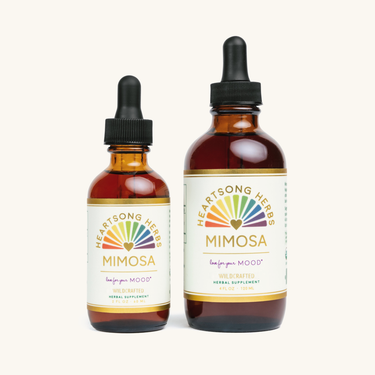 Mimosa Tincture