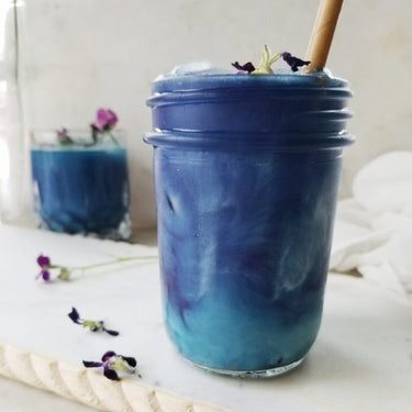 BUTTERFLY PEA - CLITORIA TERNATEA